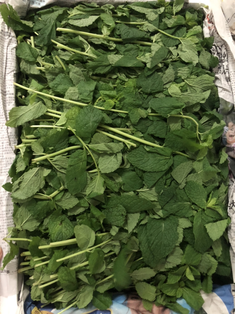 蔬菜配送