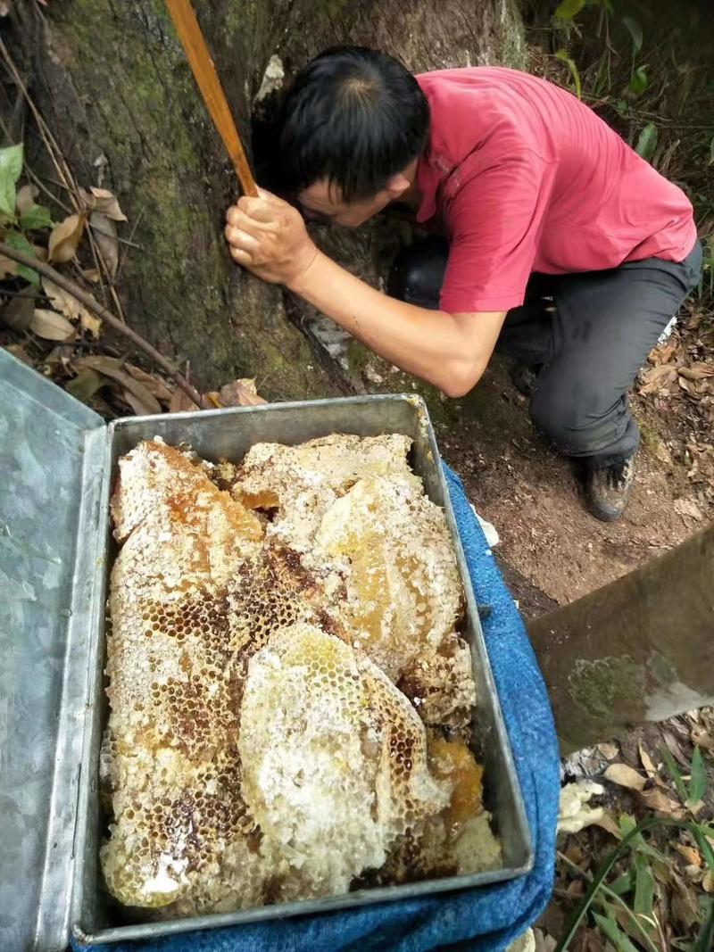 野生蜂蜜需要的可以联系我