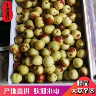 冬枣陕西大荔冬枣脆甜可口，陕西大荔冬枣，电商供应一件代发