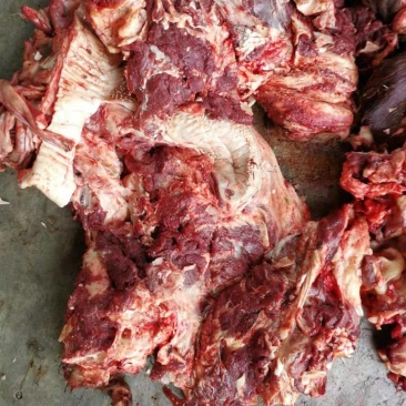 大量批发国产清真黄牛去皮生牛头肉