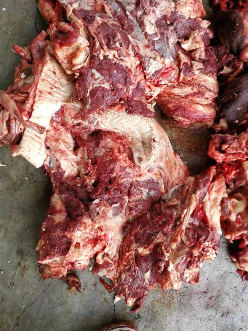 大量批发国产清真黄牛去皮生牛头肉