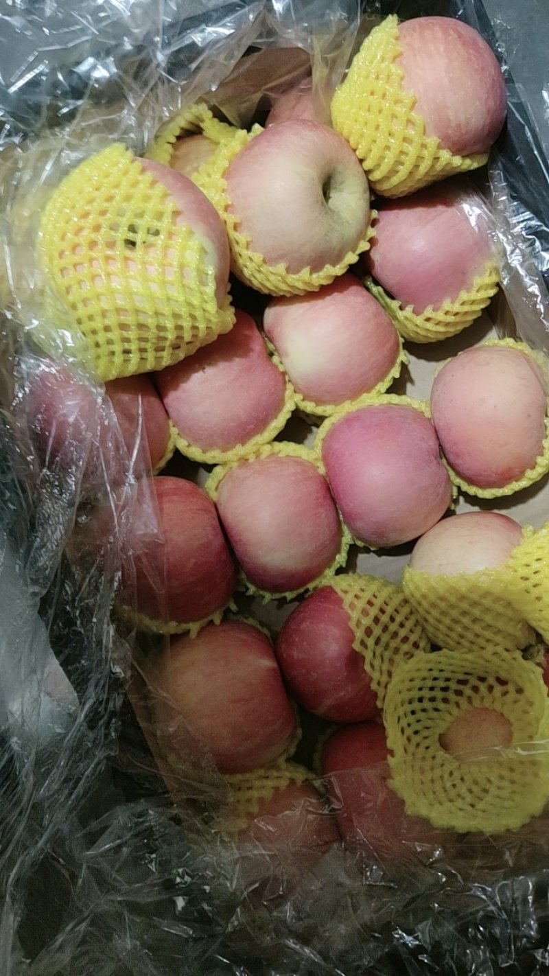 山东省日照市莒县冷库苹果大量清库货源充足