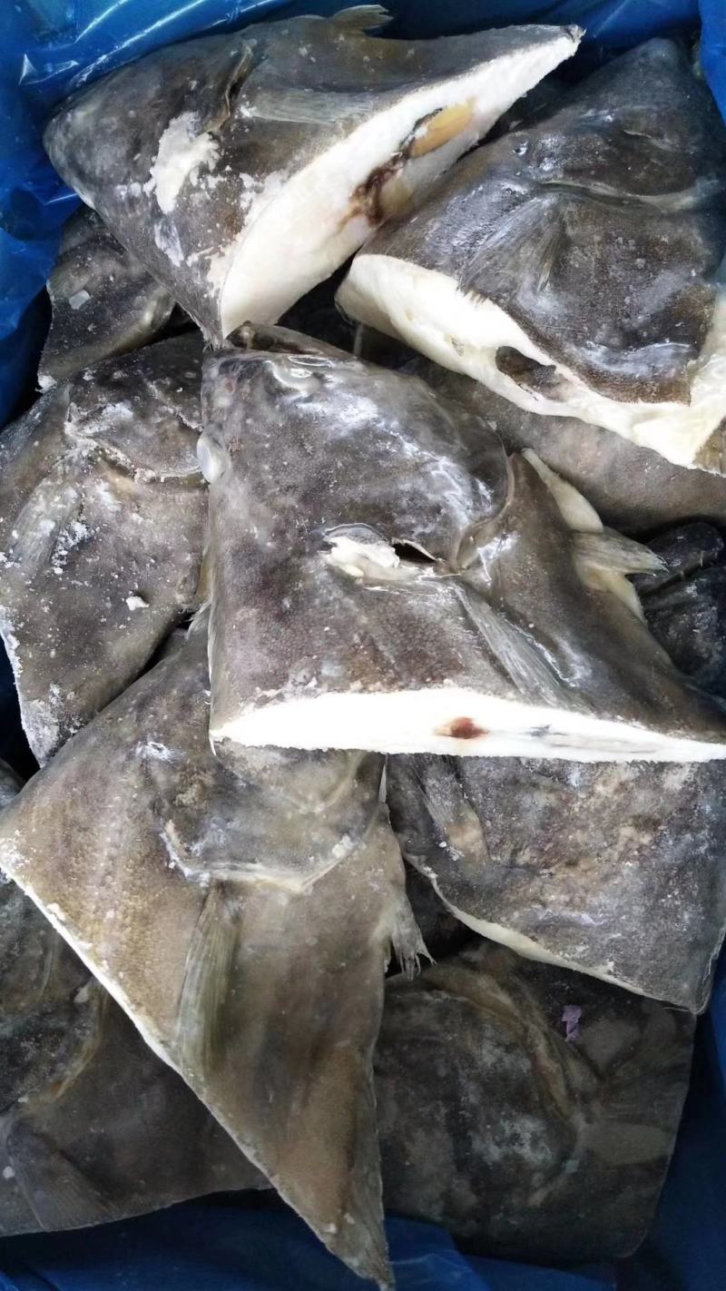 碟鱼头鸦片鱼尾深海捕捞肥美比目鱼新鲜鲽鱼头蝶鱼尾