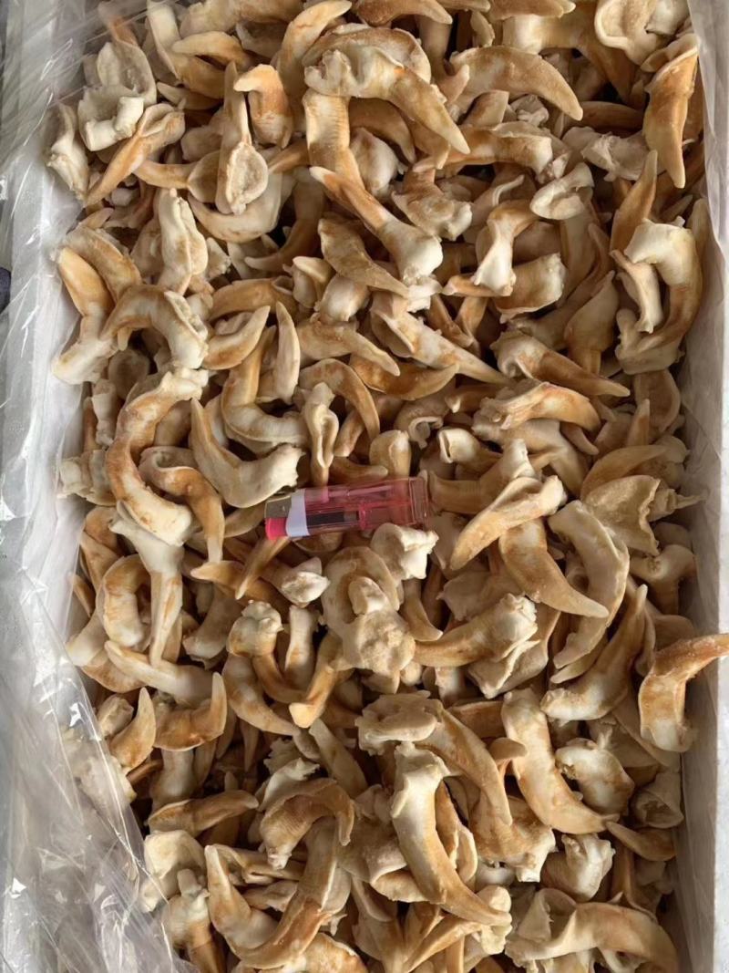 辽宁东港新鲜加工鸟贝肉质量好