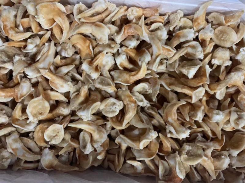 辽宁东港新鲜加工鸟贝肉质量好