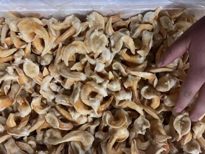 辽宁东港新鲜加工鸟贝肉质量好