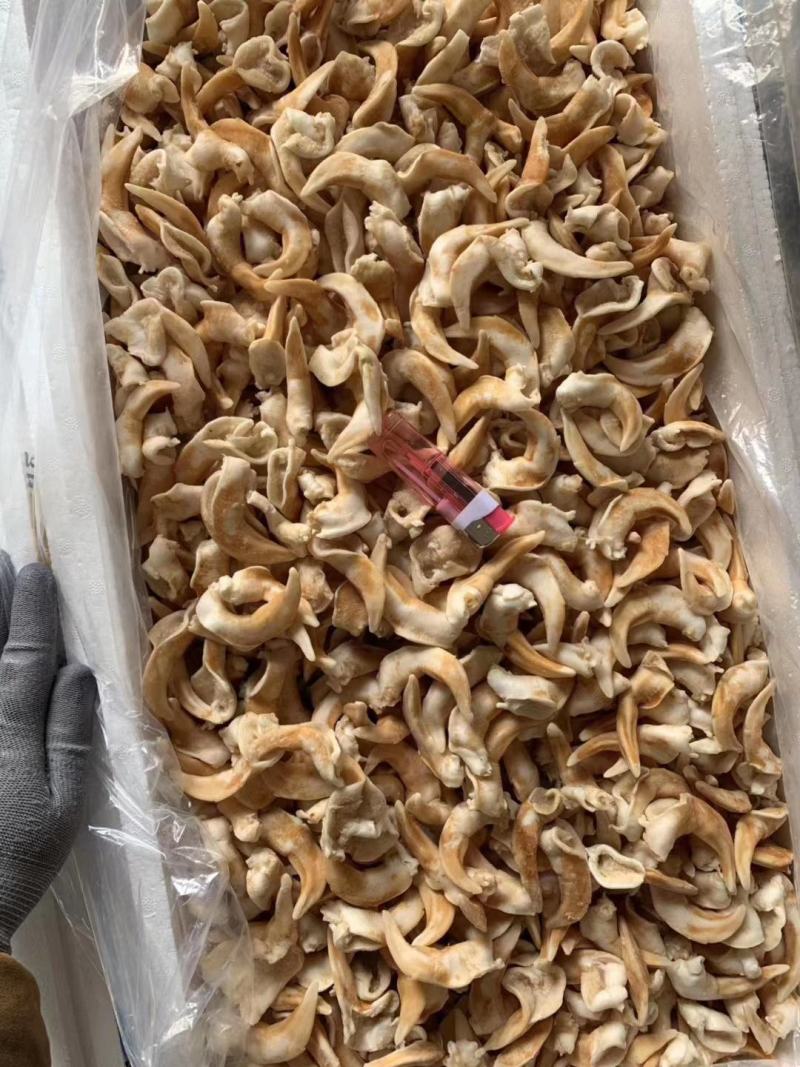辽宁东港新鲜加工鸟贝肉质量好