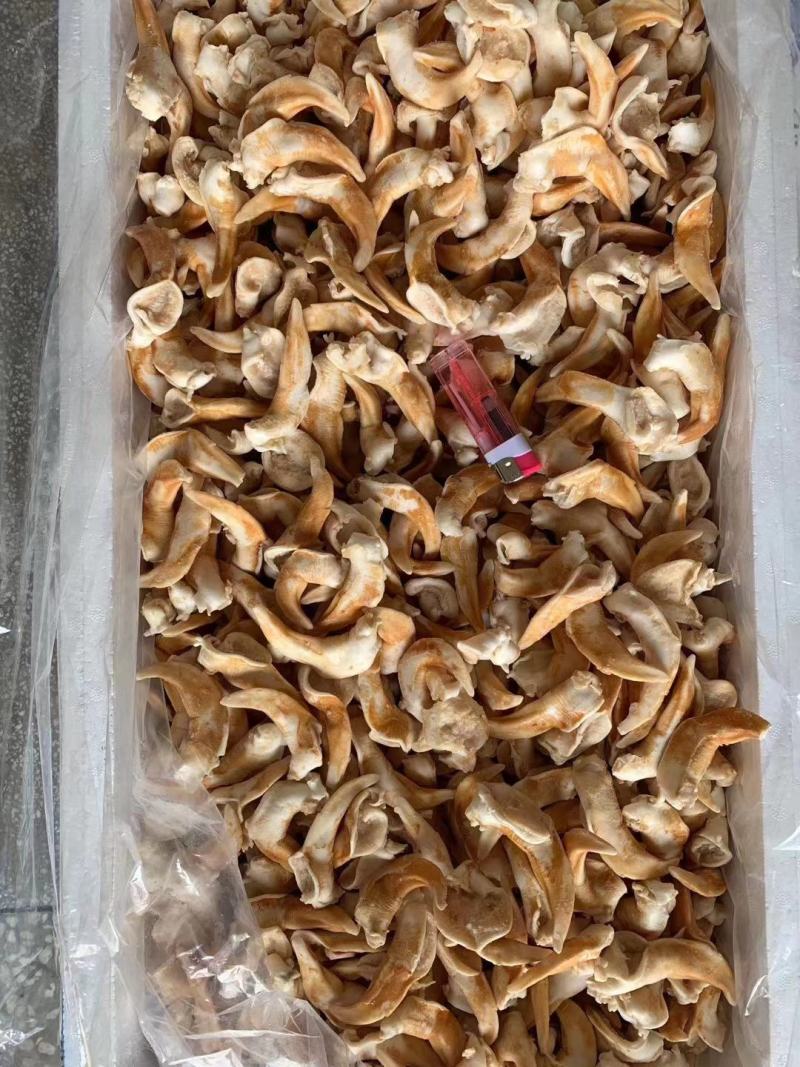 辽宁东港新鲜加工鸟贝肉质量好
