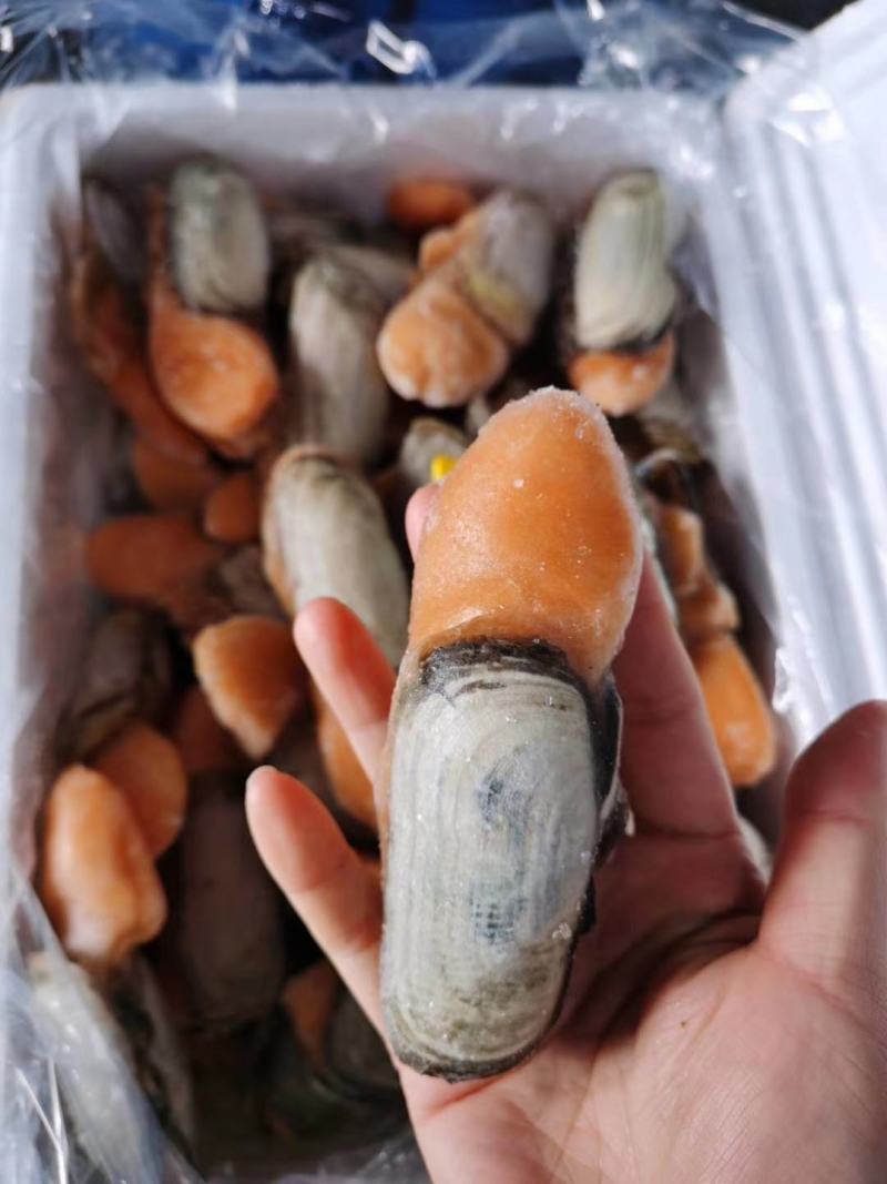 辽宁东港本地小人仙质量好
