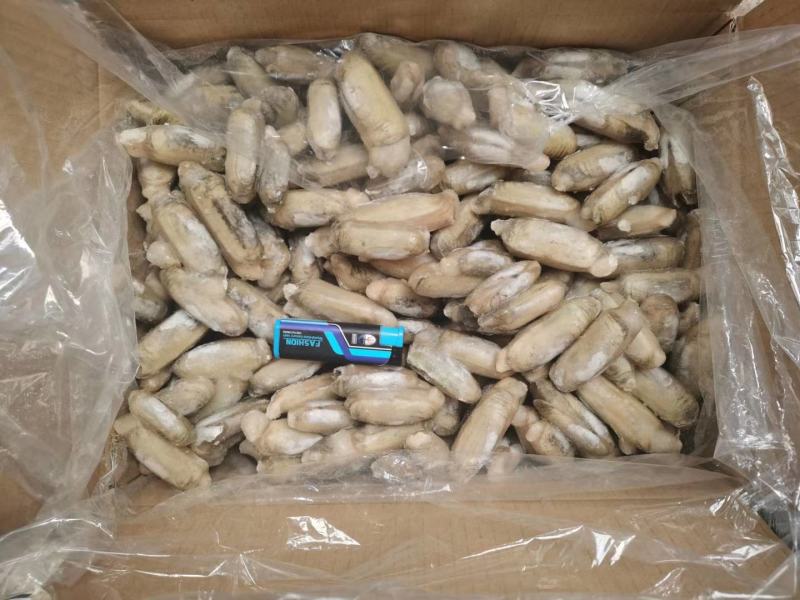 辽宁东港本地小人仙质量好
