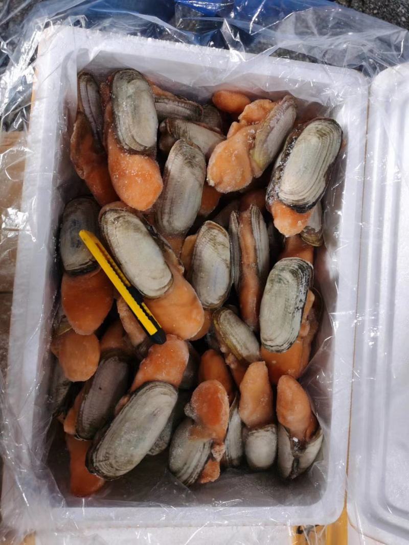 辽宁东港本地小人仙质量好