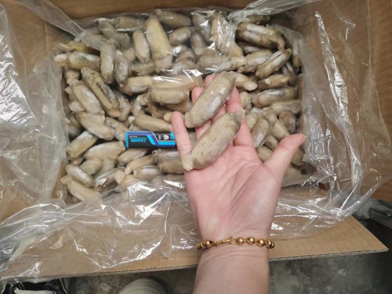 辽宁东港本地小人仙质量好