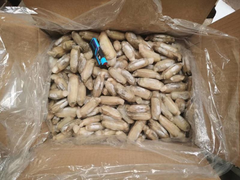 辽宁东港本地小人仙质量好