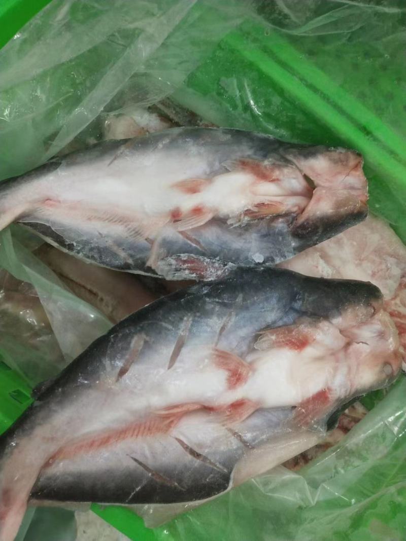 源晟泰品牌开背巴沙鱼，正关带票越南DL478工厂生产