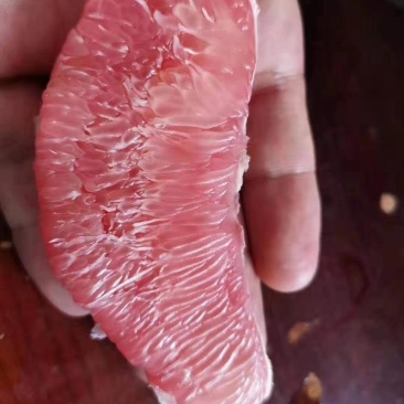 广西3斤以上三红柚，马上摘超好吃超爆款