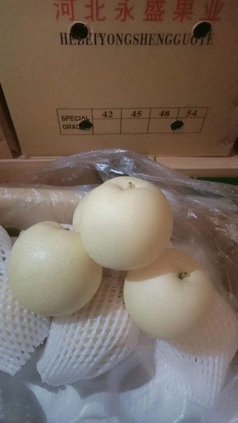 （欢迎来电咨询）绿皇冠梨物美价廉产地供应