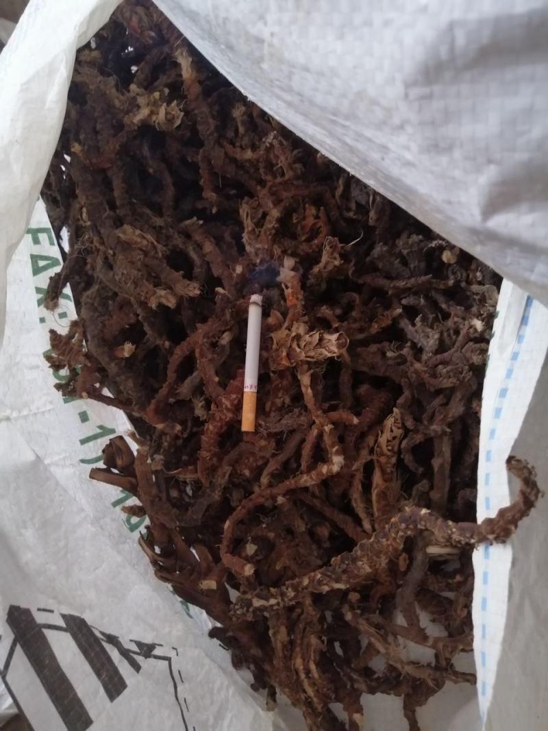 石菖蒲足干石菖蒲统条，长期产地直销，欢迎订购
