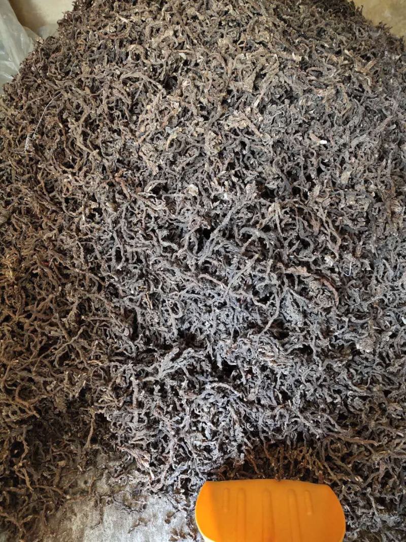 石菖蒲足干石菖蒲统条，长期产地直销，欢迎订购