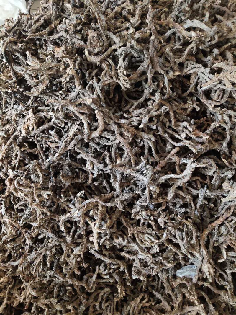 石菖蒲足干石菖蒲统条，长期产地直销，欢迎订购