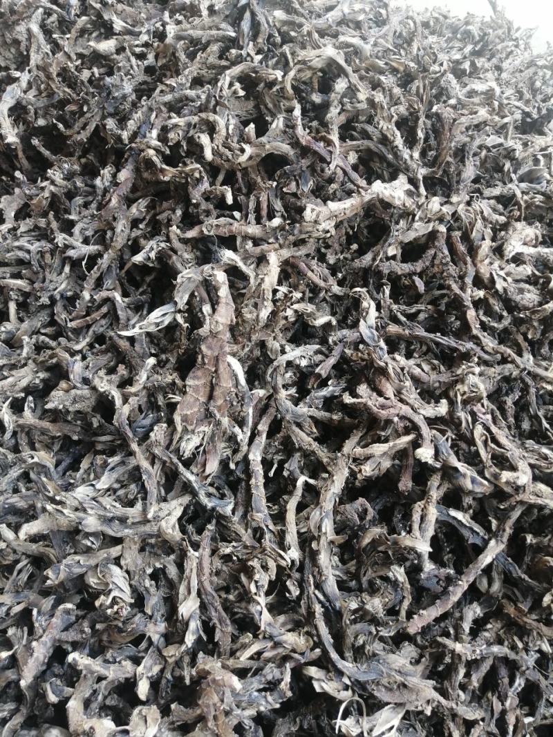 石菖蒲足干石菖蒲统条，长期产地直销，欢迎订购