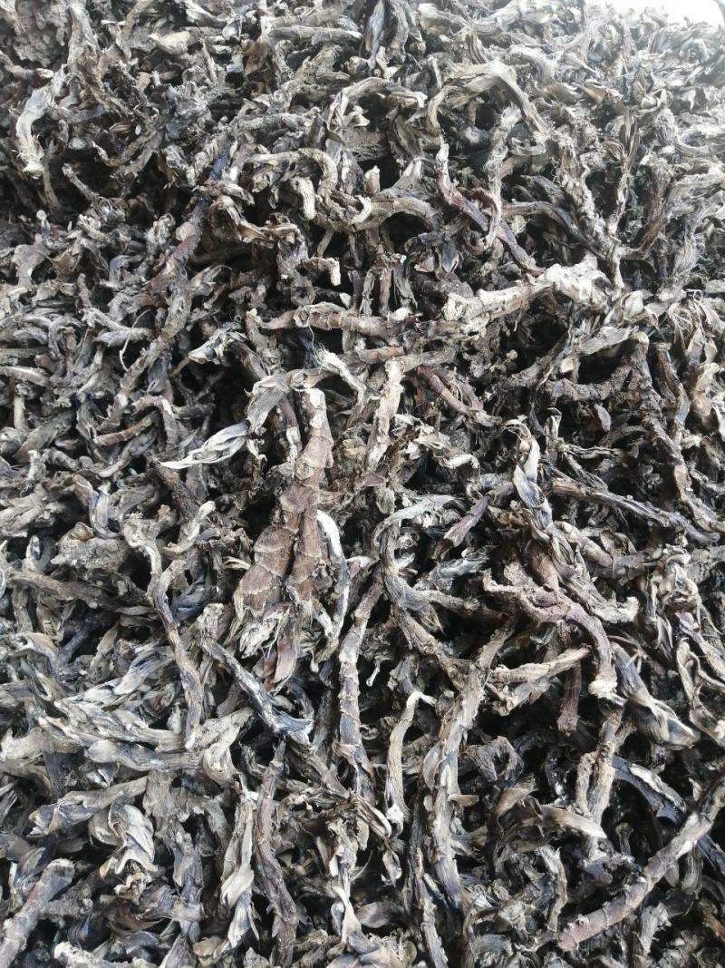 石菖蒲足干石菖蒲统条，长期产地直销，欢迎订购