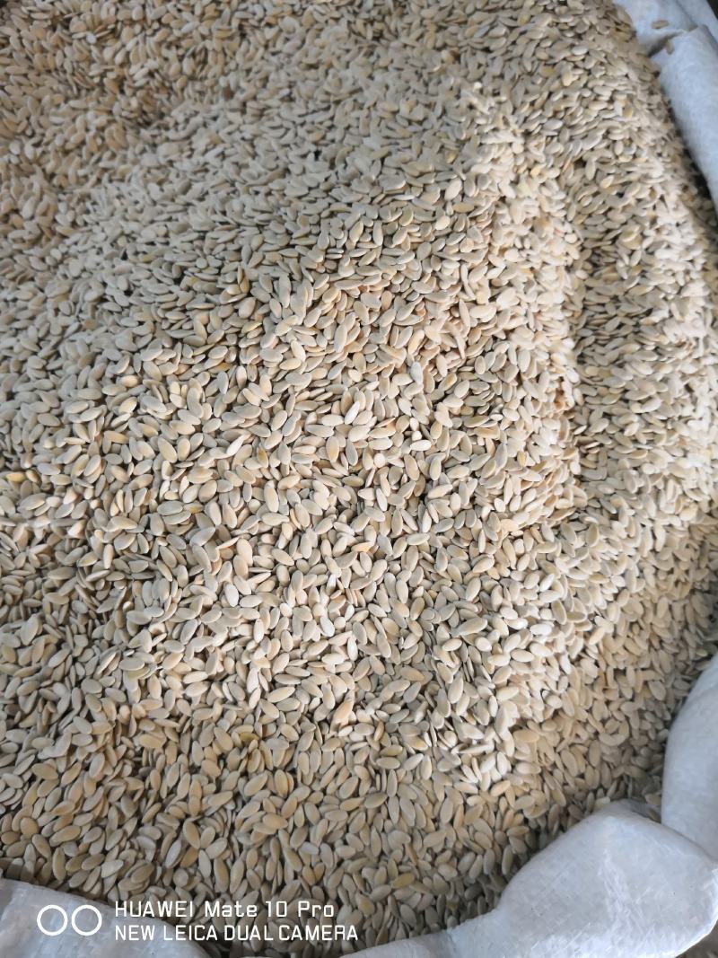 甜瓜子药食两用干净无杂质量大从优