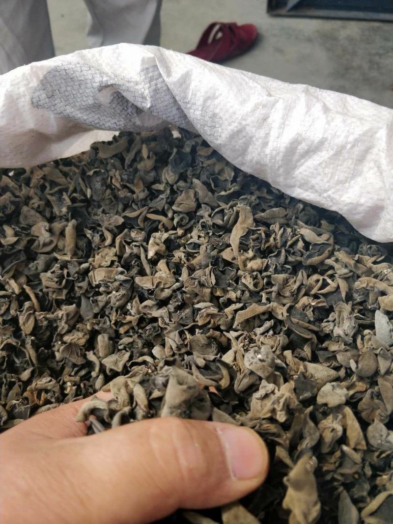 【保证质量】优质东北黑木耳干货敢比质量电商支持一件代发