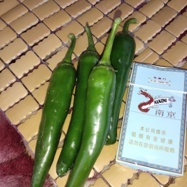 高辣辣椒精品黄皮辣椒