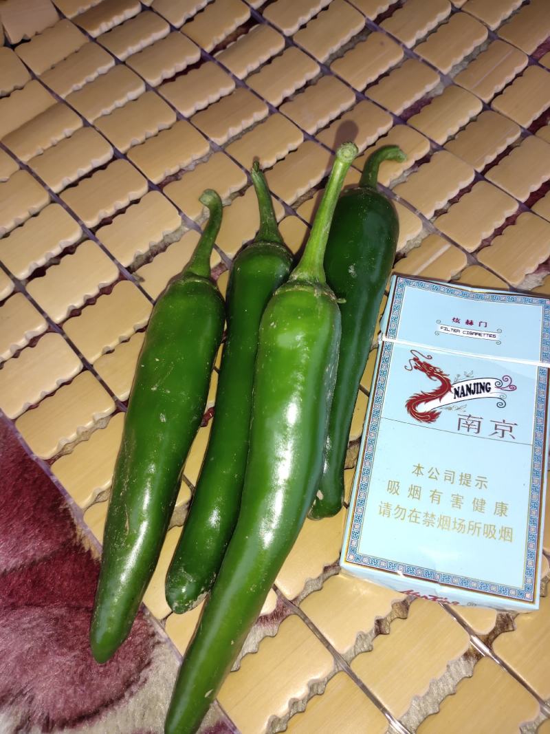 高辣辣椒精品黄皮辣椒