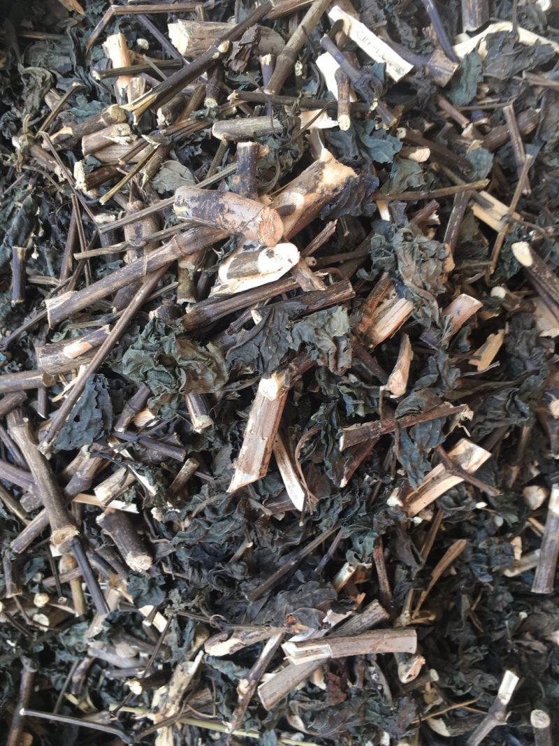 板蓝根【包邮】三斤起发货可批量可零售量大从优