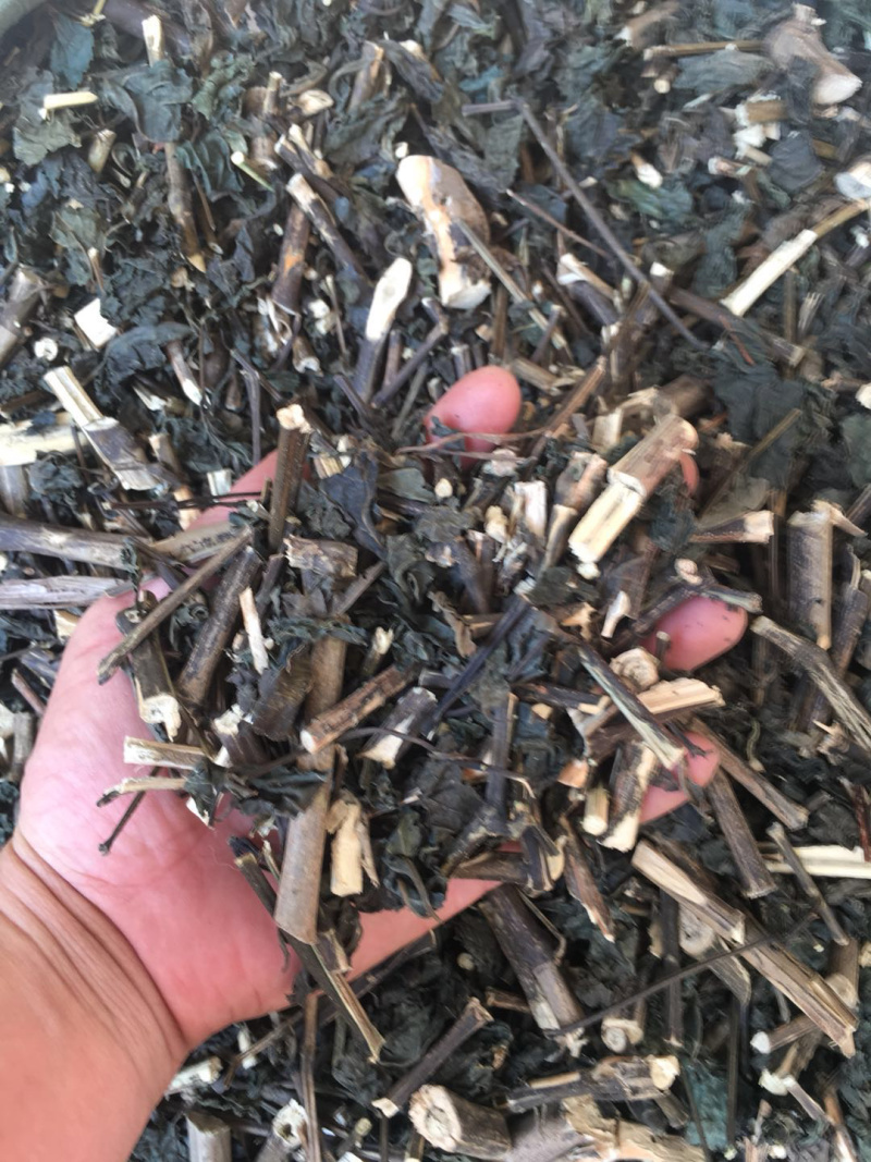 板蓝根【包邮】三斤起发货可批量可零售量大从优