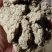 艾绒优质绒胚源头厂家量大从优