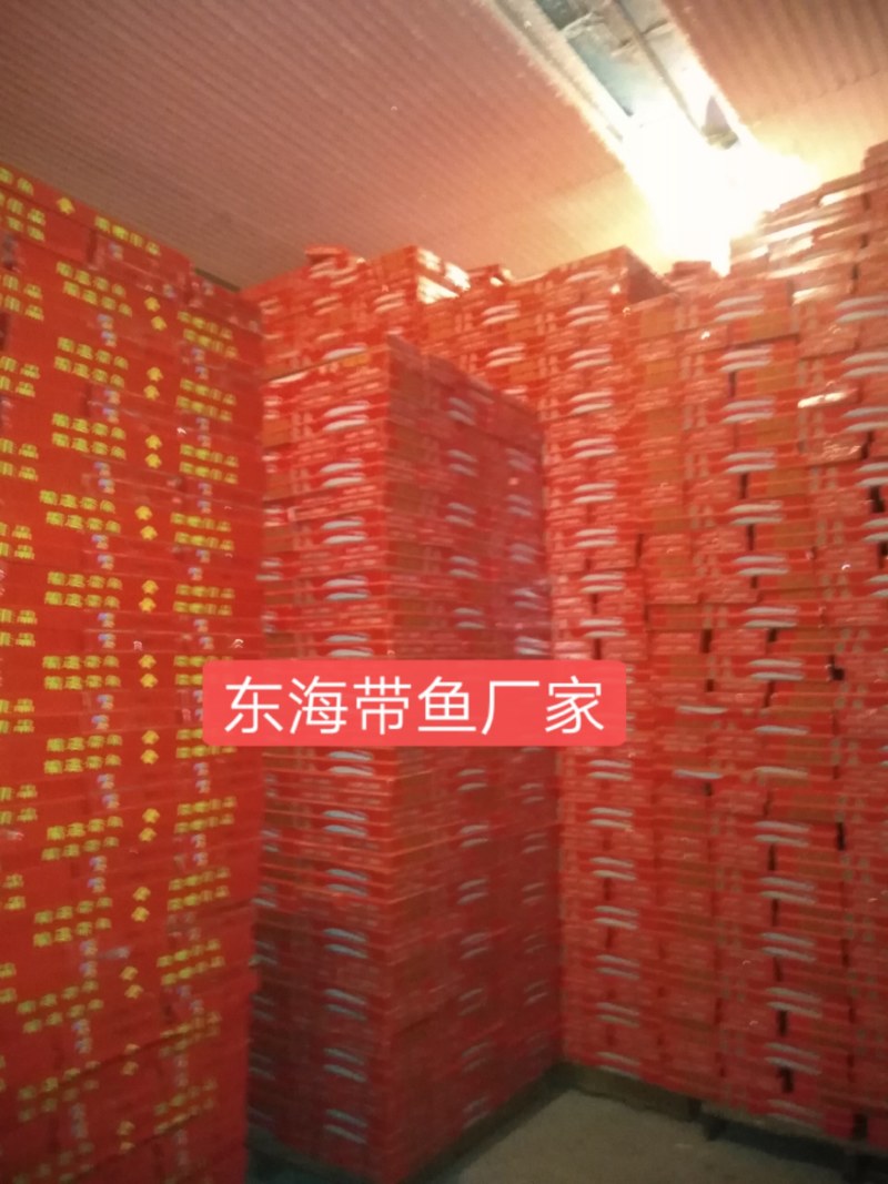 舟山带鱼厂家直销，可以视频直接看货，大小规格齐全，