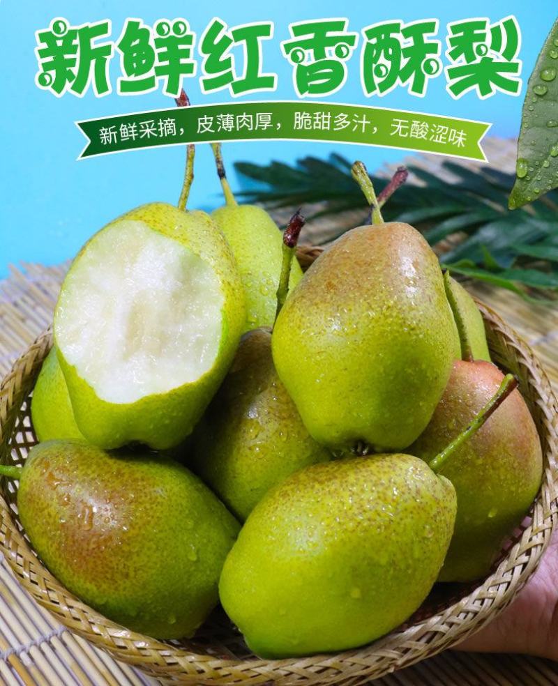 陕西蒲城早酥梨/一件代发/红香酥/砀山酥梨库尔勒香梨