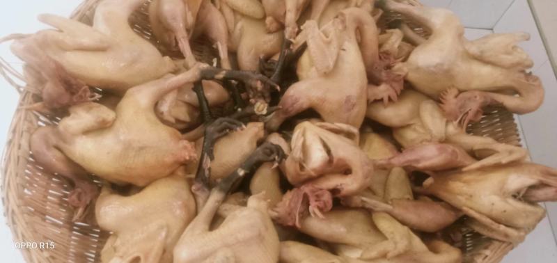 鬼城特产隆婆婆麻辣鸡