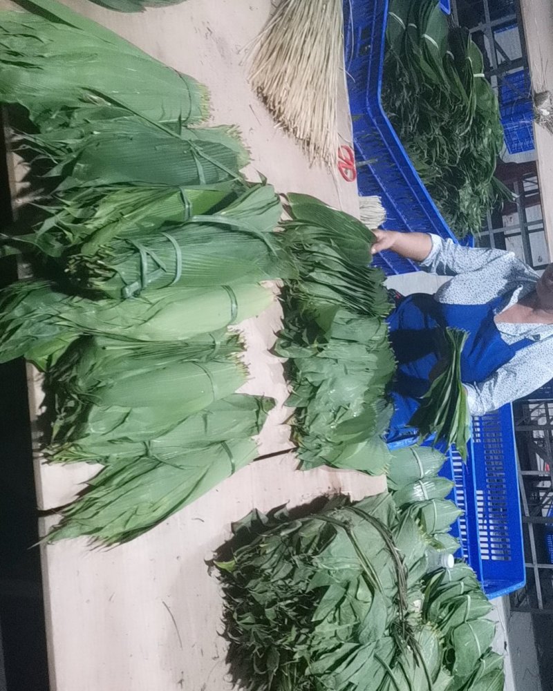 干粽叶烘干粽叶贵州干粽叶