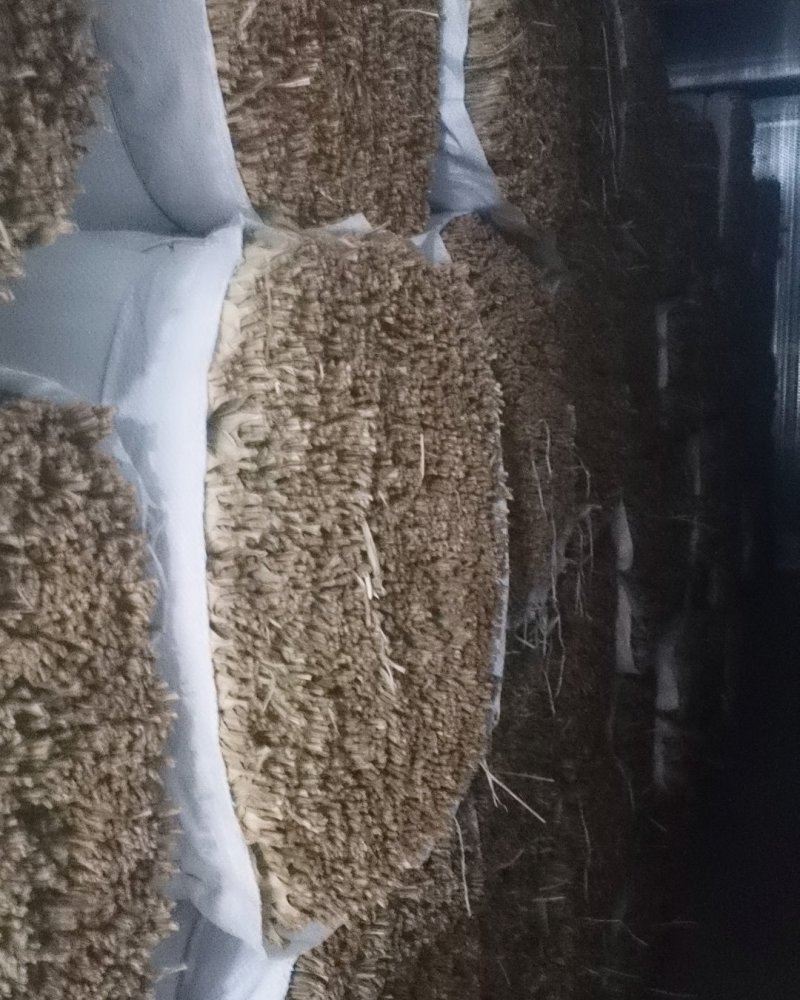 干粽叶烘干粽叶贵州干粽叶