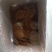 红薯粉皮果蔬小粉皮蔬菜彩色小圆农家纯手工正果蔬小粉皮上市啦
