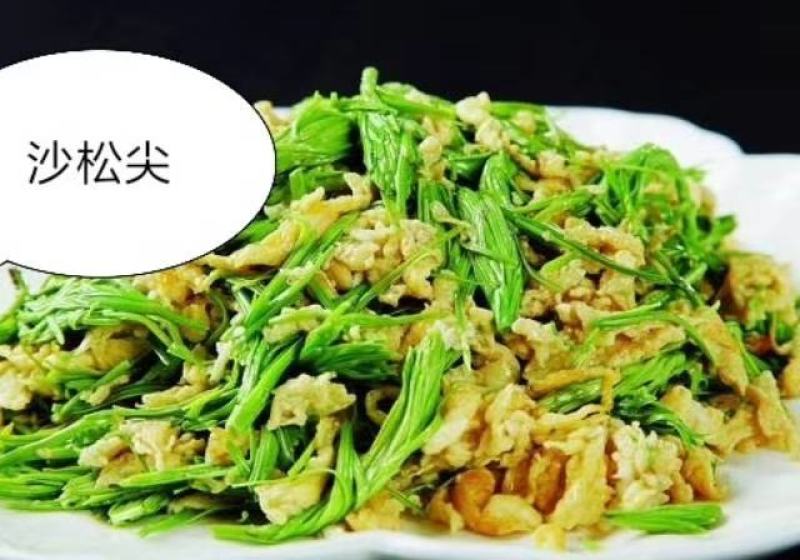 云南深山野菜，大理特色菜各种天然山茅野菜