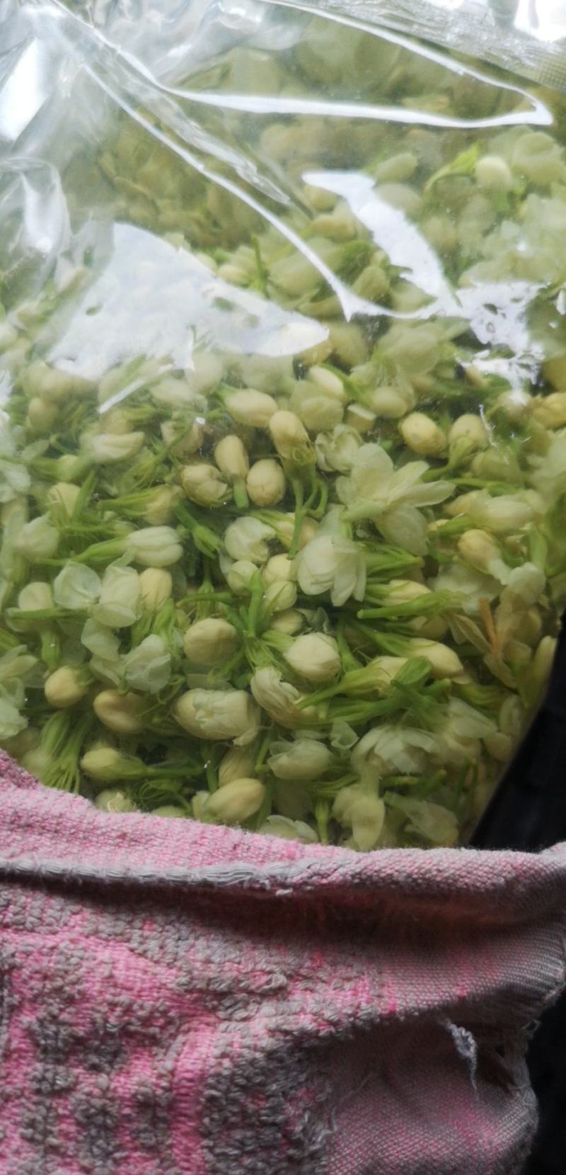 云南深山野菜，大理特色菜各种天然山茅野菜