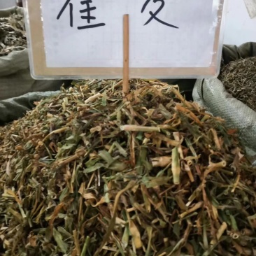 瞿麦，颜色好，青绿色，量大优惠