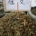 瞿麦，颜色好，青绿色，量大优惠