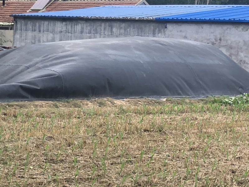 全新料防渗膜、沼气池，氧化池、鱼塘，虾塘，泥鳅养殖