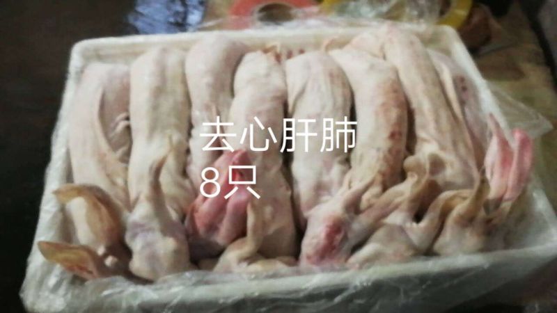 江苏盐城市大丰区春喜兔业自产自销供应现杀冷鲜速冻兔肝