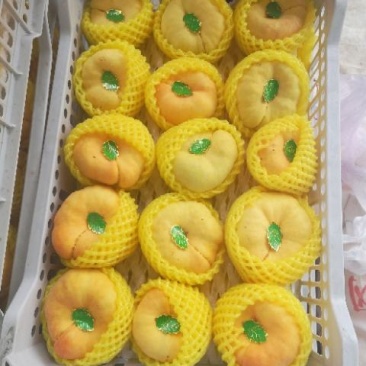 黄金蟠桃批发，陕西纸袋黄金蟠桃基地价格，黄金蟠桃价格