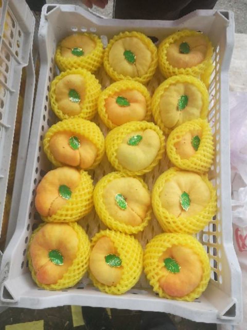 黄金蟠桃批发，陕西纸袋黄金蟠桃基地价格，黄金蟠桃价格