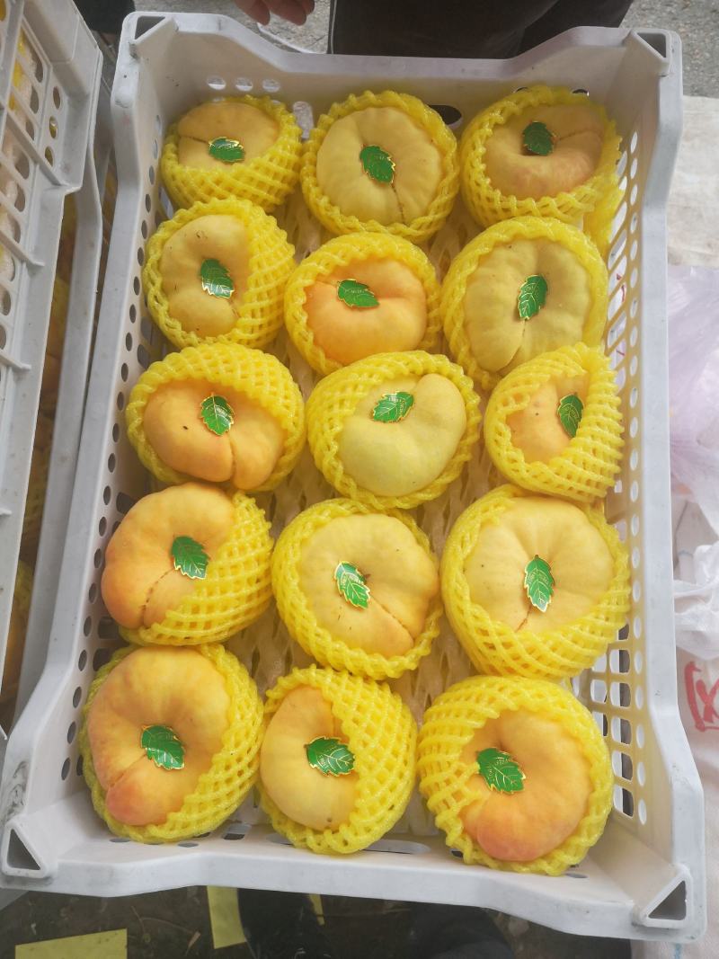 黄金蟠桃批发，陕西纸袋黄金蟠桃基地价格，黄金蟠桃价格