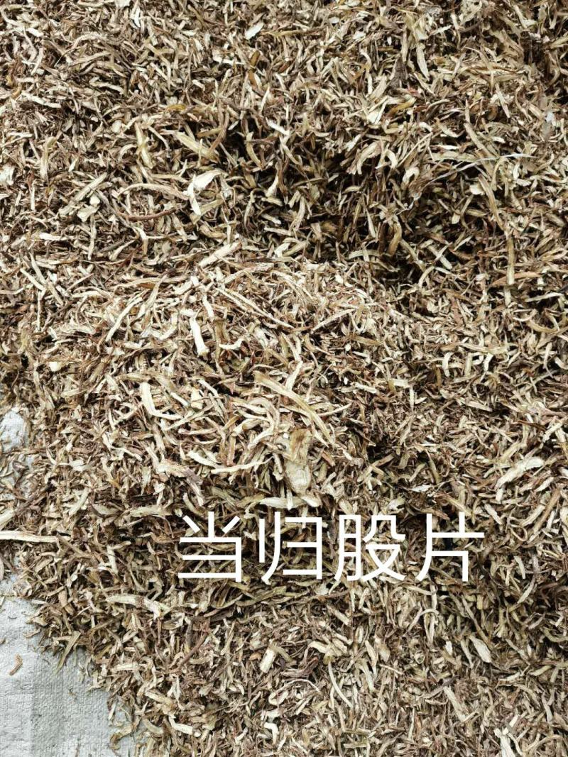 甘肃岷县原产地当归头片、全归片、当归股片，现货供应