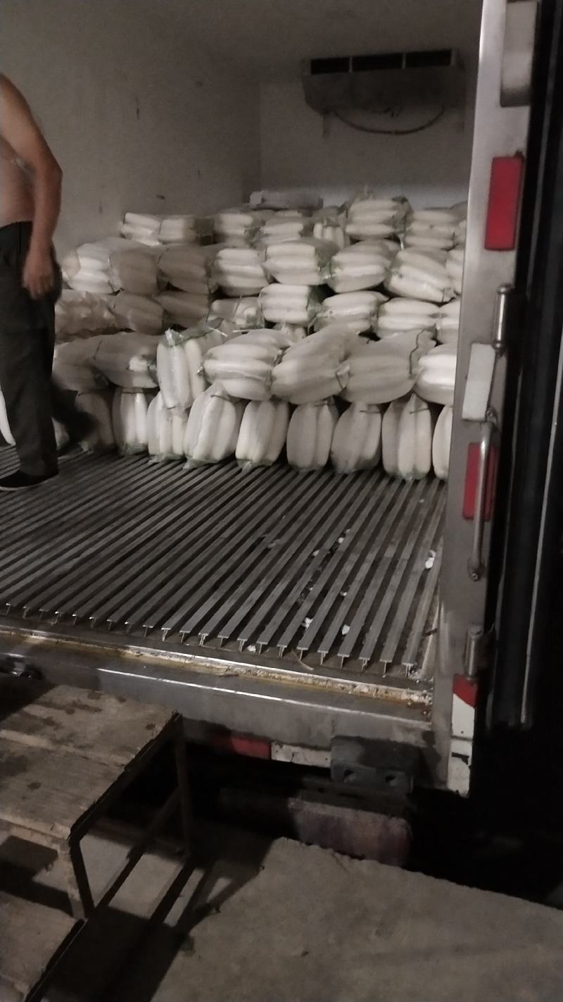 湖北白萝卜，质量保证，按照客户要求发货欢迎咨询