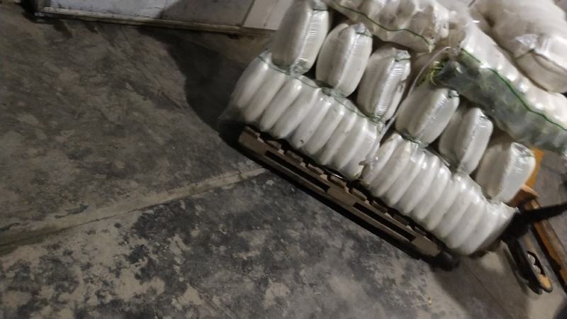 湖北白萝卜，质量保证，按照客户要求发货欢迎咨询